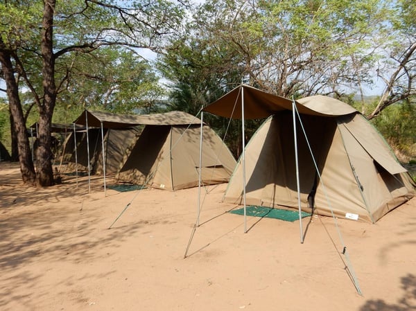 AIFS-Freiwilligenarbeit-swasiland-eswatinin-savannah-conservation-camp-tent-zelt