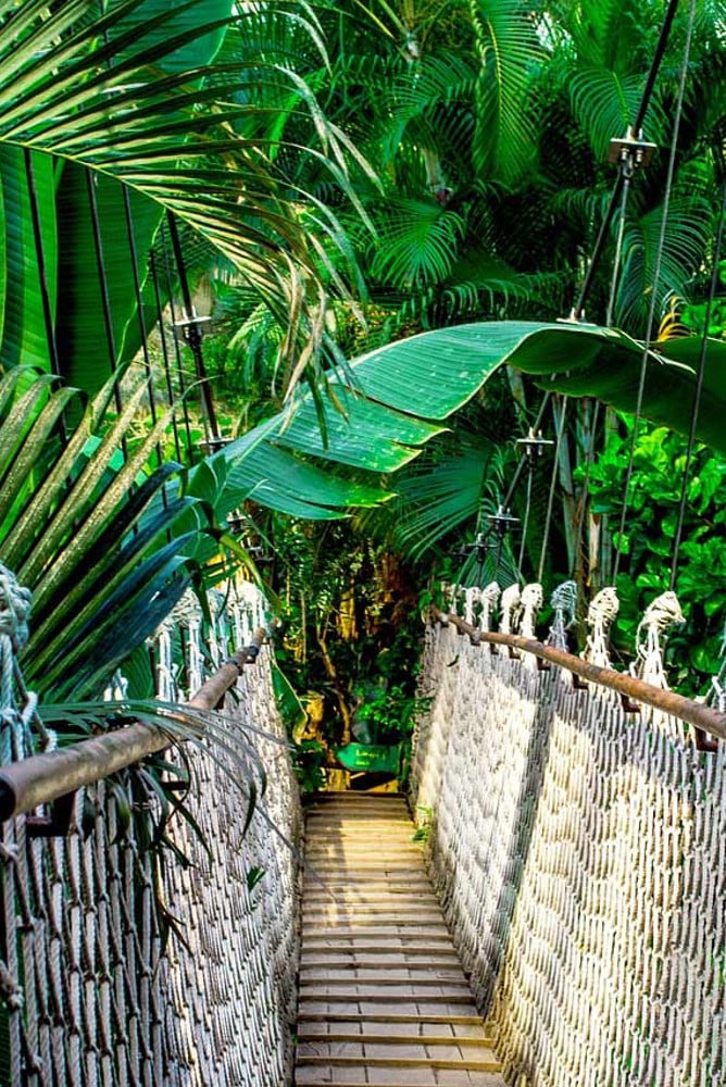 Studieren in Costa Rica mit AIFS