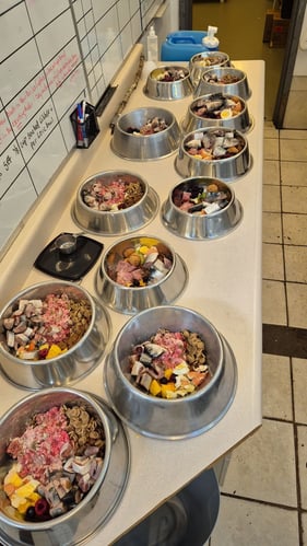 Futternäpfe vom AIFS Freiwilligenprojekt Wildlife in Kanada