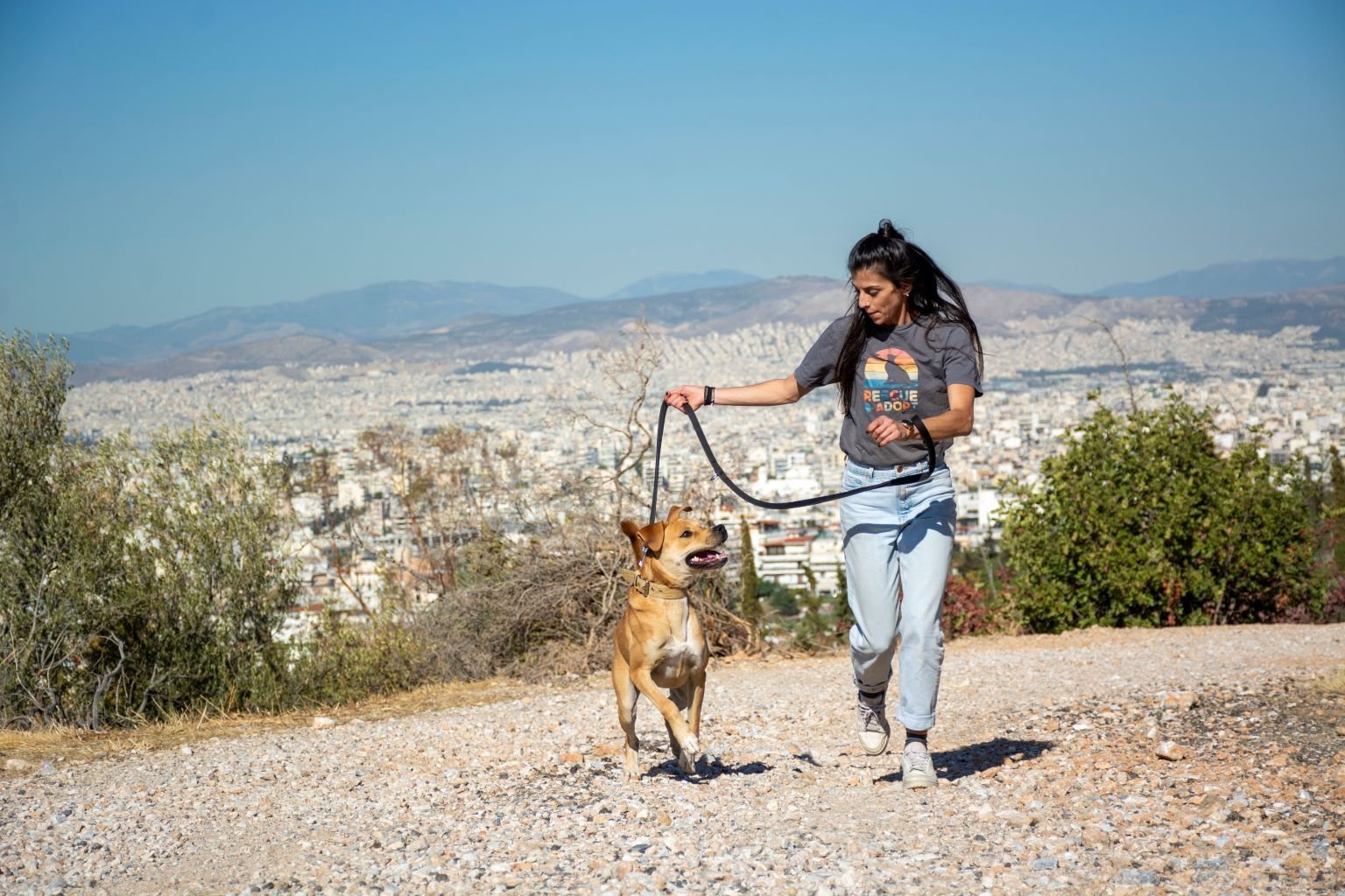 Volunteer beim Spaziergang mit einem Hund beim Freiwilligenprojekt Animal Care in Griechenland