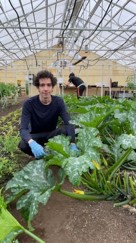 Volunteer bei der Arbeit beim Freiwilligenprojekt Eco-Village in Island mit AIFS