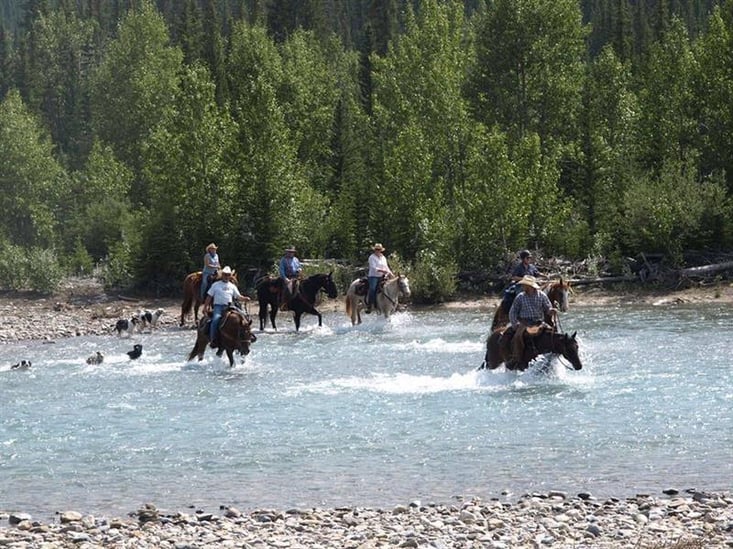 Teilnehmende beim Reiten durch einen Fluss beim Ranchwork Programm von AIFS in Kanada.