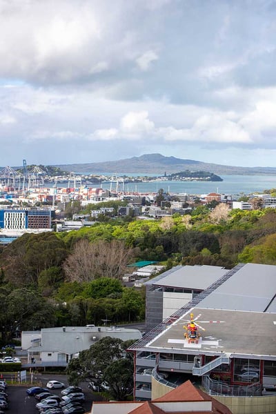 Die Unterkunft Park Towers bei der AIFS Sprachreise nach Neuseeland: Ausblick