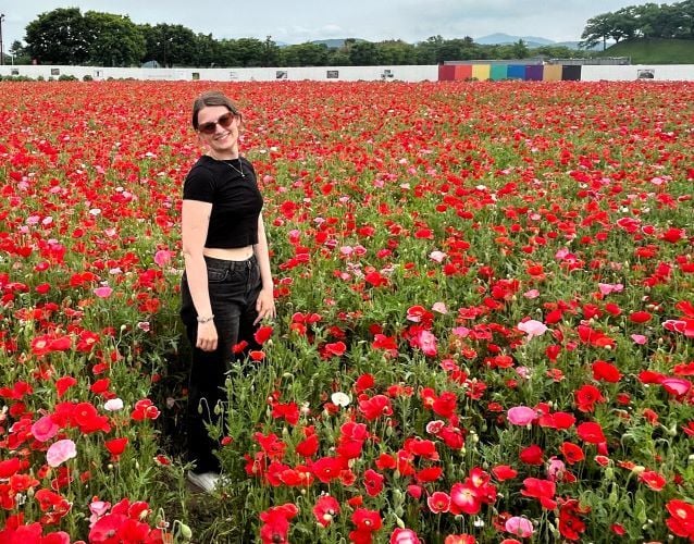 Blumenfeld in Gyeongju beim Adventure Trip in Südkorea mit AIFS