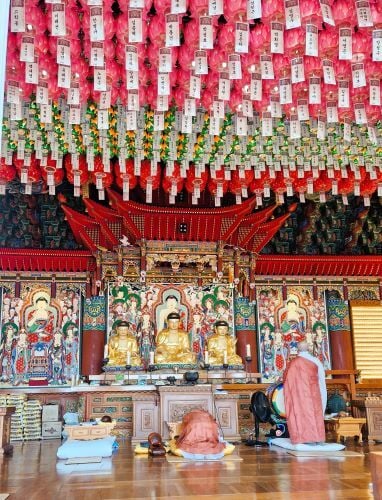 Mönche im Tempel beim Adventure Trip in Südkorea mit AIFS