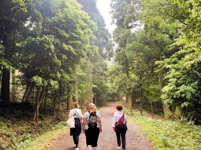 Healing Forest in Jeju Island bei der Gruppenreise in Südkorea mit AIFS