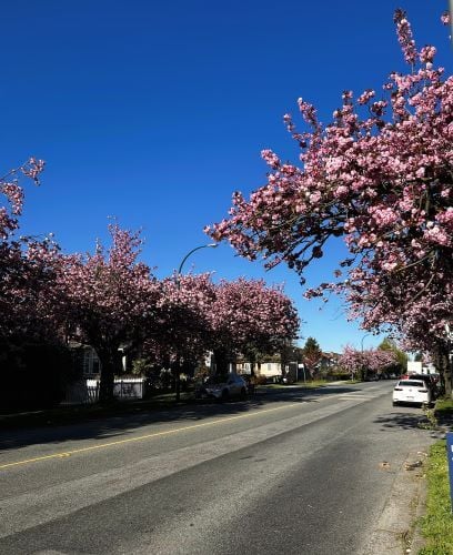 Straße beim Freiwilligenprojekt in Kanada mit AIFS