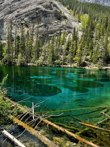 Jeanne entdeckt Kanada während ihres Freiwilligenprojektes mit AIFS
