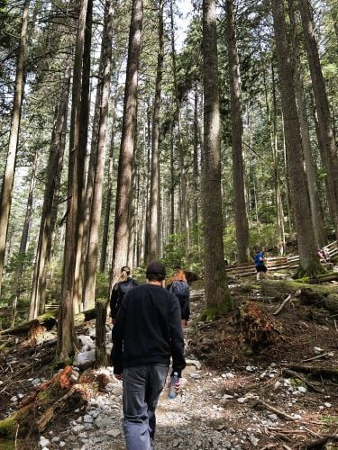 Jeanne und andere Volunteers wandern bei der Freiwilligenarbeit in Kanada mit AIFS