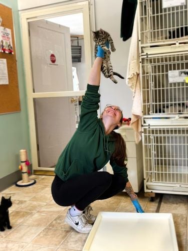 Jeanne mit einer Katze im Domestic Animal Freiwilligenprojekt in Kanada mit AIFS