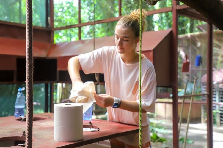 Volunteer bei der Freiwilligenarbeit im Wildlife Rescue Projekt in Costa Rica