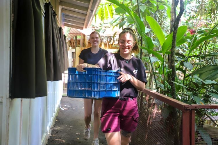 Volunteers beim Arbeiten im Freiwilligenprojekt Wildlife Rescue in Costa Rica