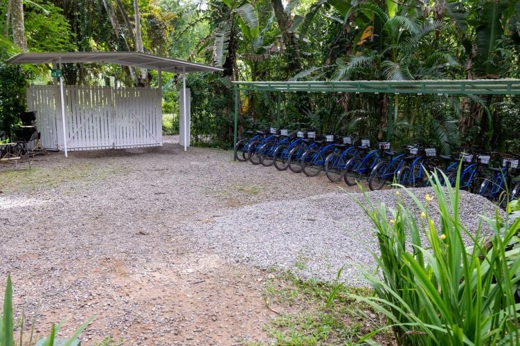 Fahrräder beim Freiwilligenprojekt Wildlife Rescue in Costa Rica mit AIFS