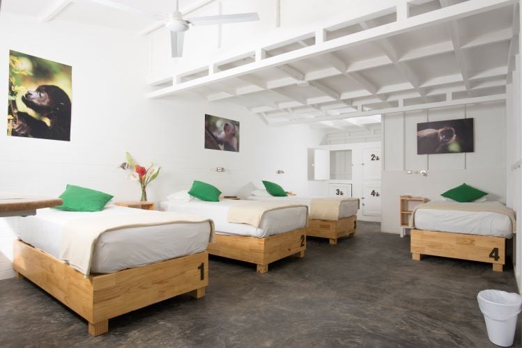 Schlafzimmer beim Freiwilligenprojekt Wildlife Rescue in Costa Rica mit AIFS