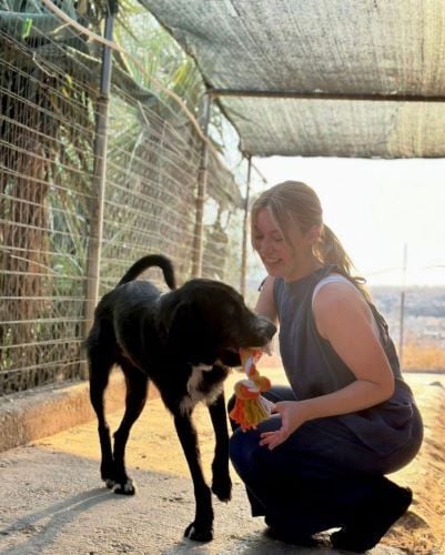 Volunteer spielt mit einem Hund beim Freiwilligenprojekt Animal Care in Griechenland