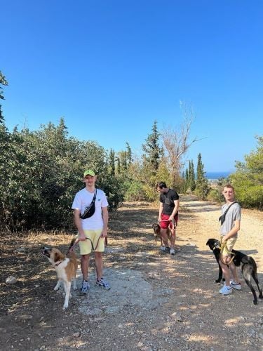 Volunteers beim Spaziergang mit einem Hund beim Freiwilligenprojekt Animal Care in Athen