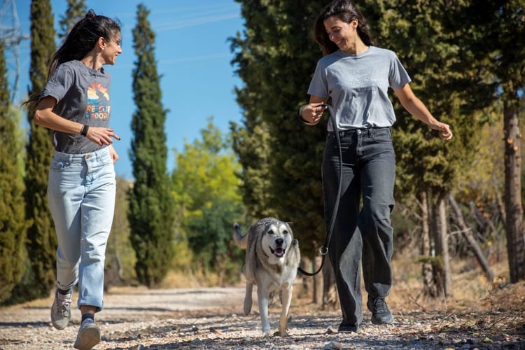 Volunteers beim Spaziergang mit einem Hund beim Freiwilligenprojekt Animal Care in Griechenland