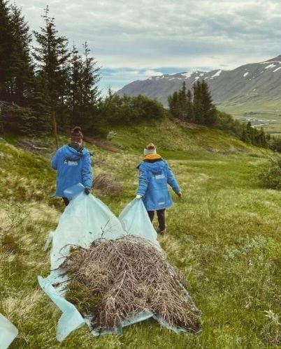 Volunteers beim Arbeiten beim Freiwilligenprojekt Forest and Beach in Island