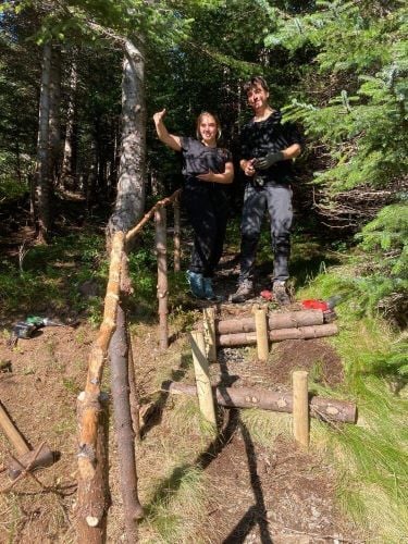 Volunteers im Wald beim Freiwilligenprojekt Forest and Beach in Island