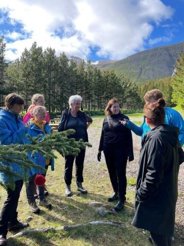 Volunteers beim Freiwilligenprojekt Forest and Beach in Island