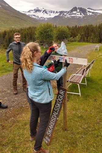 Volunteers beim Bauen eines Schilds beim Freiwilligenprojekt Forest and Beach in Island