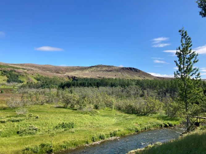Natur beim Freiwilligenprojekt Organic Farming in Island mit AIFS