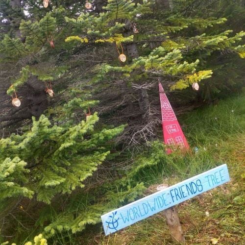 Baum beim Freiwilligenprojekt Forest & Beach in Island