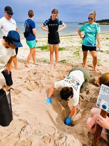 Personen beim Graben am Strand beim Freiwilligenprojekt Sea Turtle Conservation in Japan mit AIFS