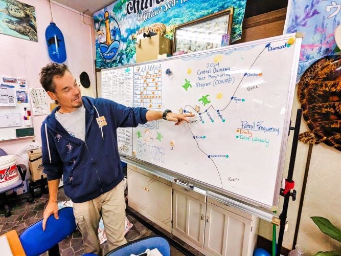 Mann unterrichtet beim Freiwilligenprojekt Sea Turtle Conservation in Japan mit AIFS