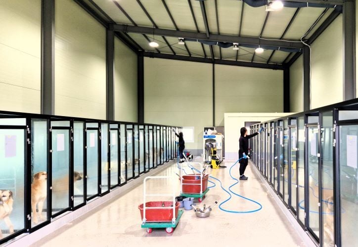 Boxen des Tierheims beim Freiwilligenprojekt Rescued Animals in Südkorea mit AIFS