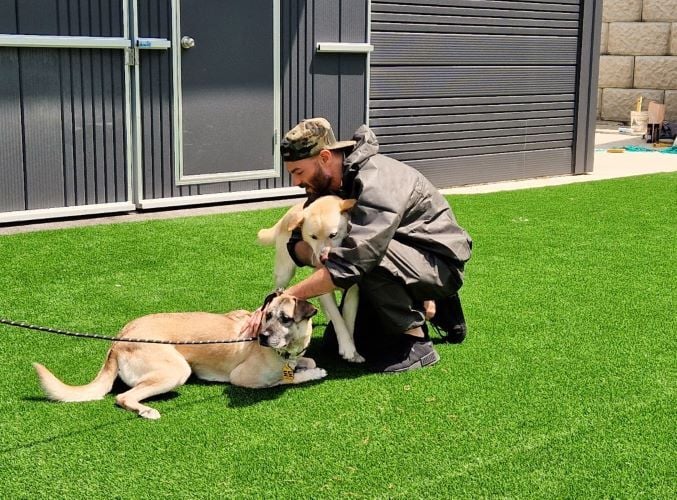 Freiwilligenarbeit in Südkroea mit AIFS