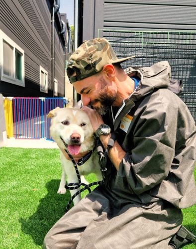 Nino mit Hund draußen beim Freiwilligenprojekt Rescued Animals in Südkorea mit AIFS