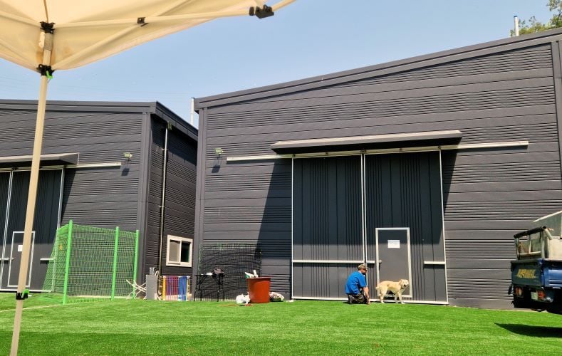 Gebäude des Tierheims beim Freiwilligenprojekt Rescued Animals in Südkorea mit AIFS