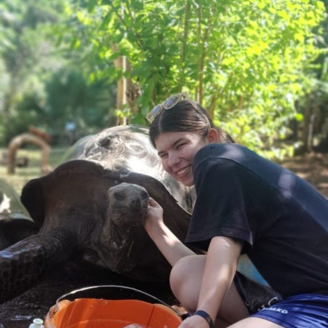 aifs-freiwilligenarbeit-madagaskar-lemurenschutzstation-erfahrungen-sophie-schildkröte