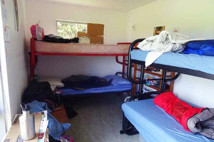 Schlafzimmer beim Freiwilligenprojekt Rainforest Conservation in Neuseeland