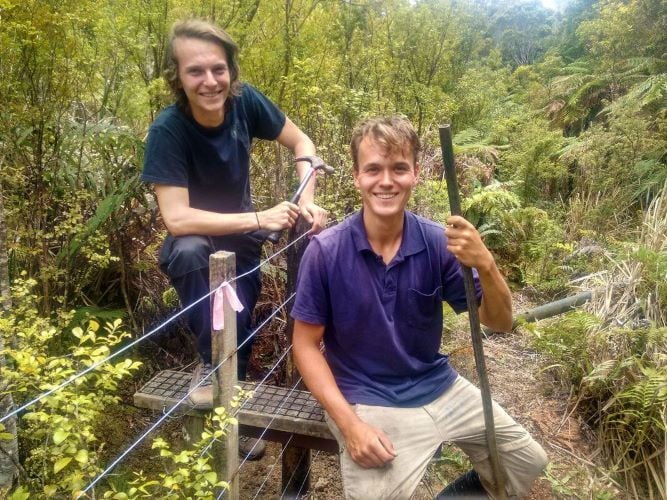 Volunteers bauen etwas beim Freiwilligenprojekt Rainforest Conservation in Neuseeland