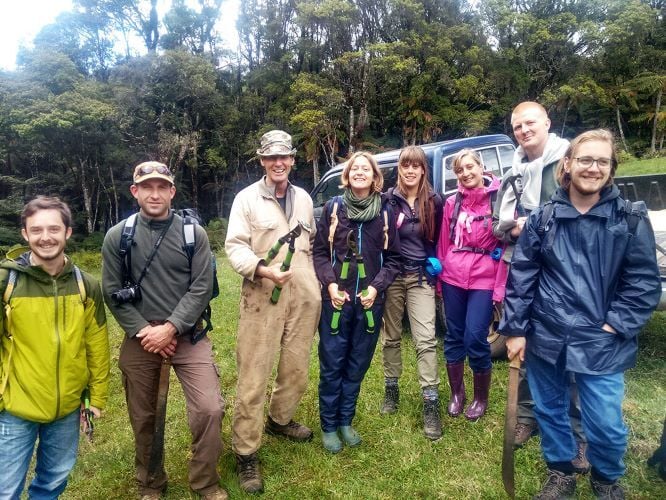 Volunteers in der Natur beim Freiwilligenprojekt Rainforest Conservation in Neuseeland mit AIFS