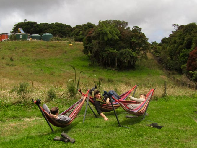 Volunteers in Hängematten bei ihrem Freiwilligenprojekt mit AIFS in Neuseeland