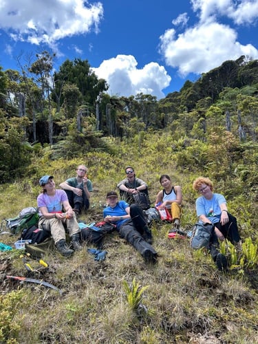 Volunteers bei ihrem Freiwilligenprojekt mit AIFS bei der Pause in Neuseeland
