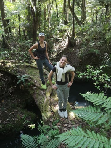 Volunteers auf einem Baum im Regenwald bei ihrem Freiwilligenprojekt mit AIFS in Neuseeland