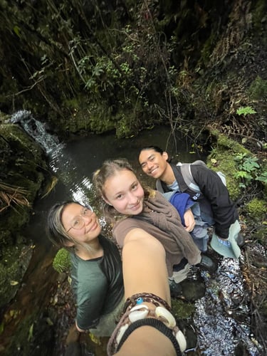 Volunteers an einem Wasserfall bei ihrem Freiwilligenprojekt mit AIFS in Neuseeland