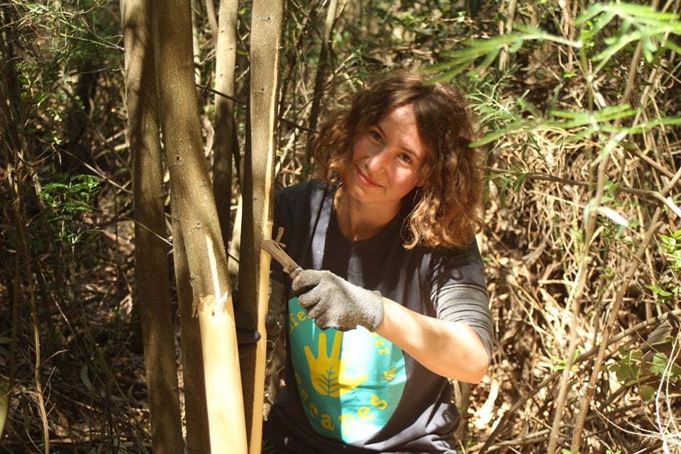 Erfahrungen Freiwilligenarbeit in Portugal mit AIFS