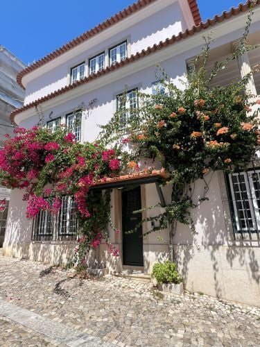 Ein Stadtgebaeude in Portugal Pflanzen und Blumen sind an der Hauswand