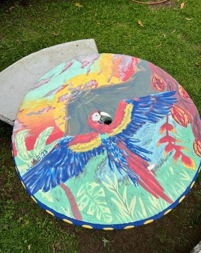 Tisch beim Auslandssemester in Costa Rica mit AIFS