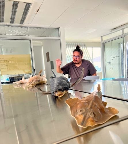 Kurs beim Auslandssemester in Costa Rica mit AIFS