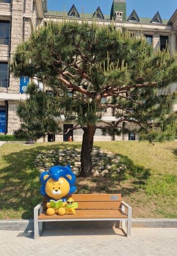 Maskottchen Hanyang University beim Auslandssemester in Südkorea mit AIFS