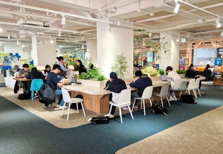 Studierende der Hanyang University beim Auslandssemester in Südkorea mit AIFS