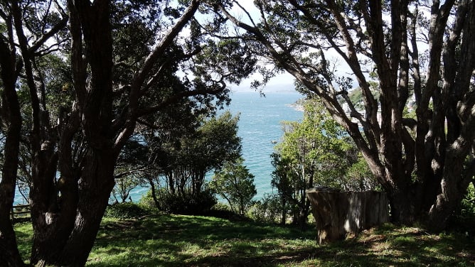 Entdecke Wellington beim Adventure Trip mit AIFS