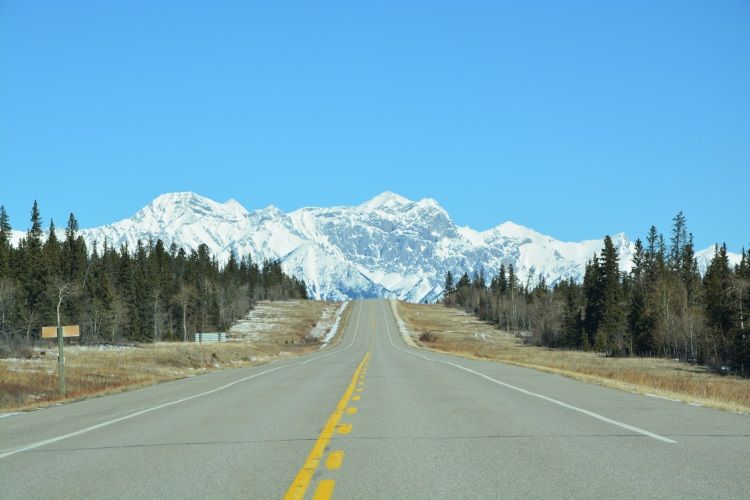 Der ca. 260 km lange Icefields Parkway verbindet Banff mit Jasper.