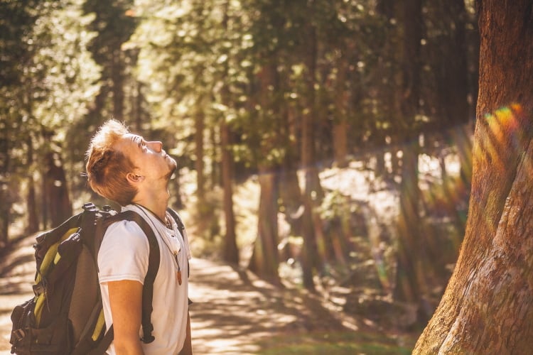 Die Pflanzen- und Tierwelt in Nationalparks ist besonders schützenswert